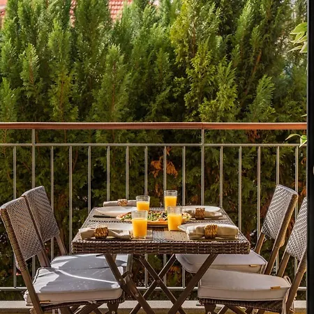 Comboio I By An Island Funchal (Madeira)